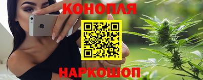 молекула духа Пугачёв