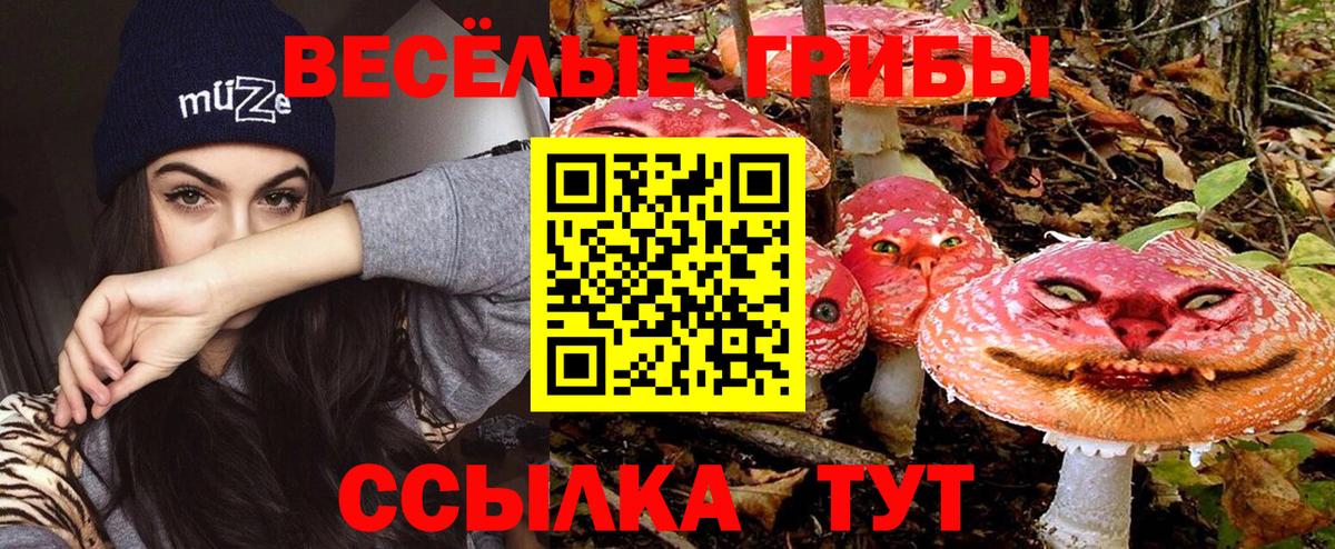 Ртищево  Псилоцибиновые грибы Magic Shrooms  Вход с VPN 
